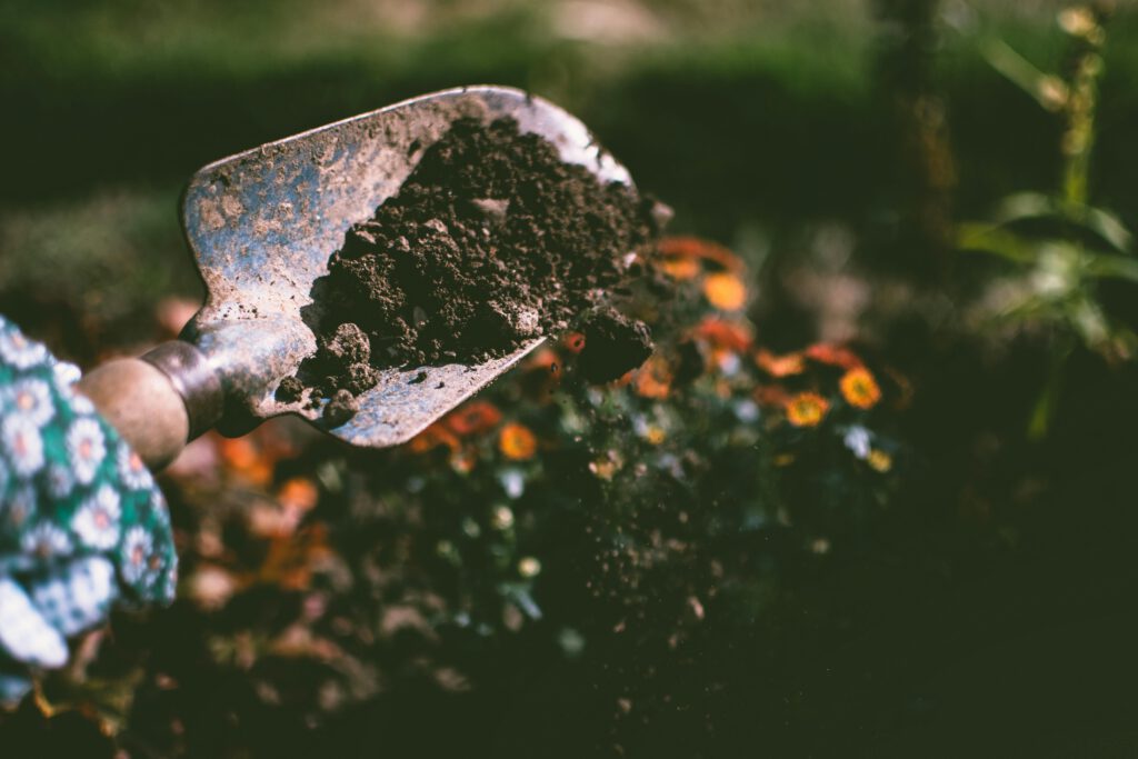 im Garten arbeiten